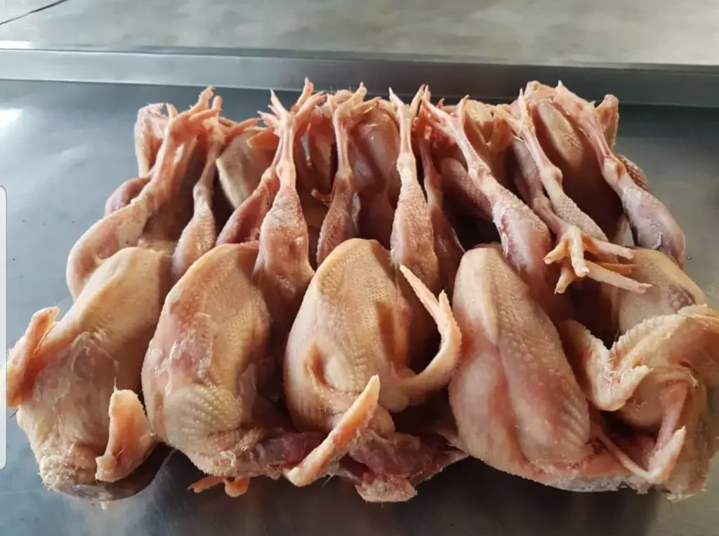 Ayam Tua